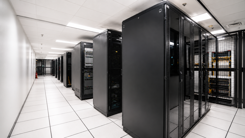 BIZNET~2 BIZNET~2